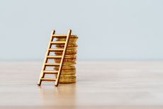 A stack of gold coins with a ladder leading up them.